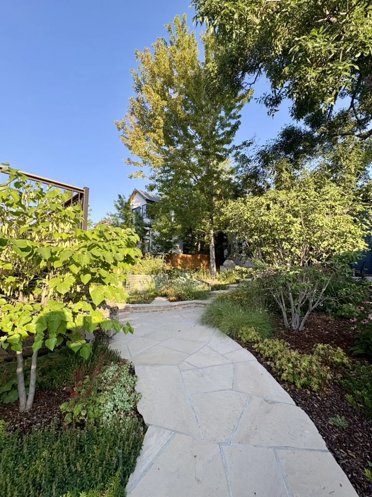 Colorado urban habitat landscape