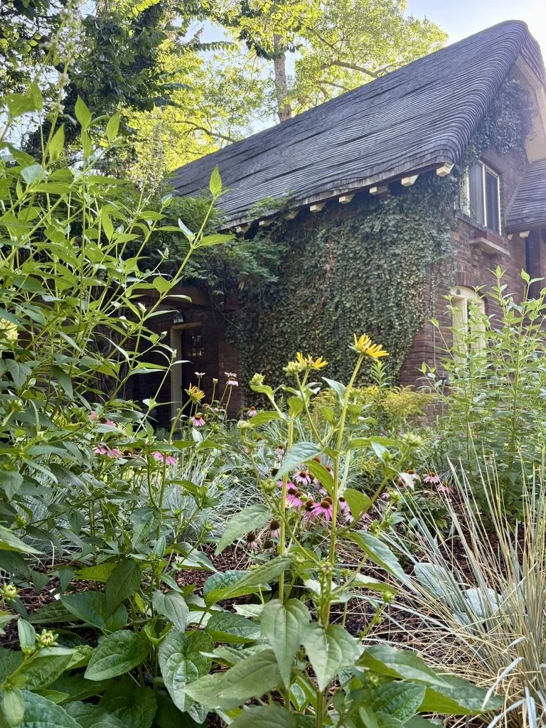 native pollinator garden