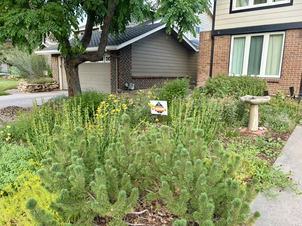 HOA pollinator habitat garden