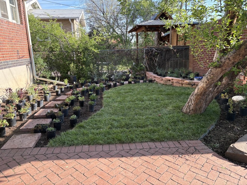 Pollinator garden design