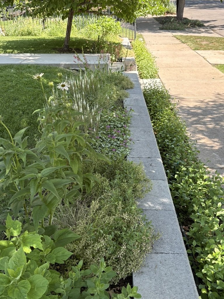 DIY pollinator garden