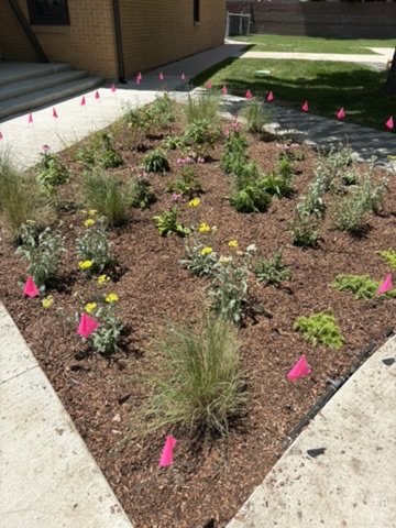 Native pollinator garden installation