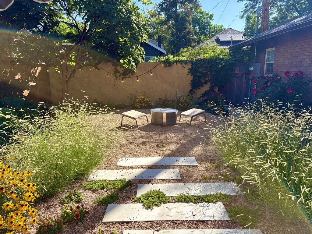 Coloradoscaping native plants
