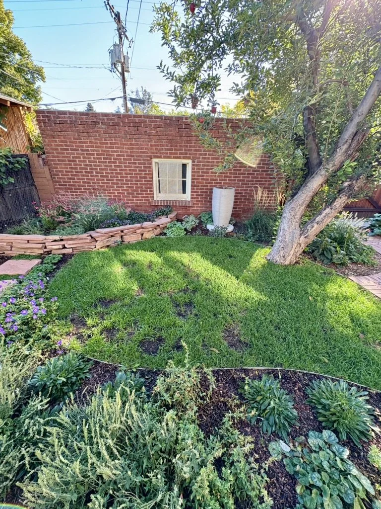 urban gardening