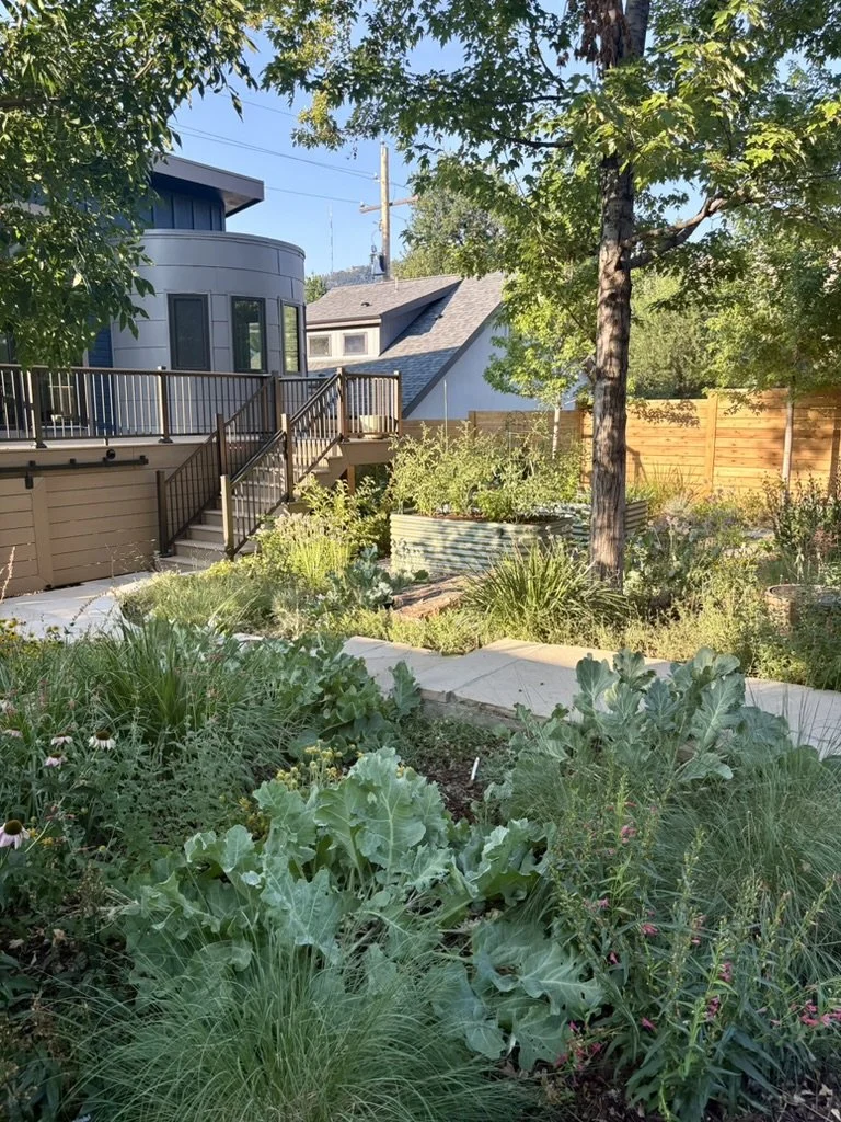 Colorado regenerative landscape
