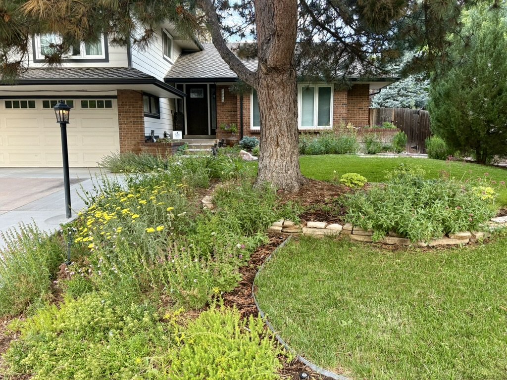 HOA lawn to garden trasnformation