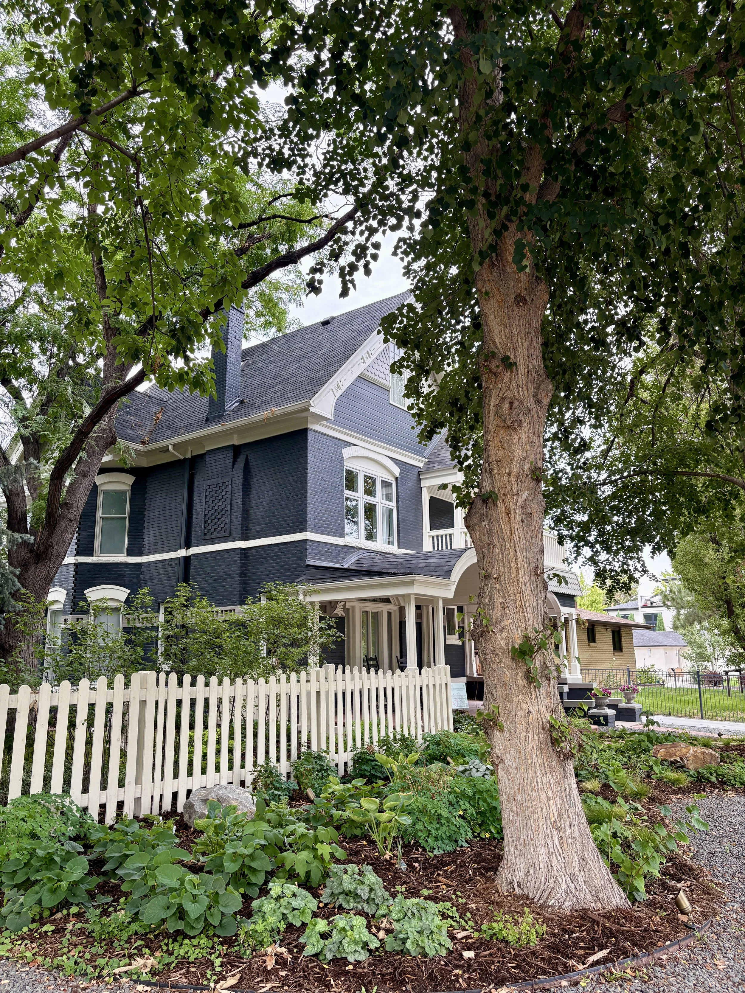 Denver woodland shade garden