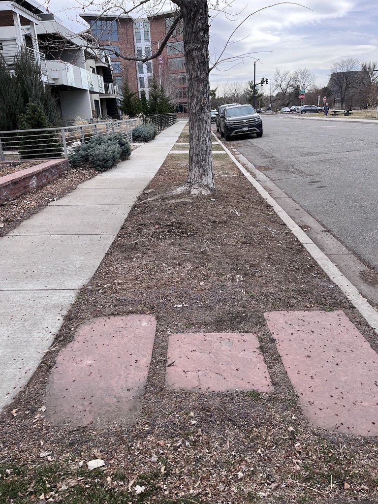 waterwise hellstrip