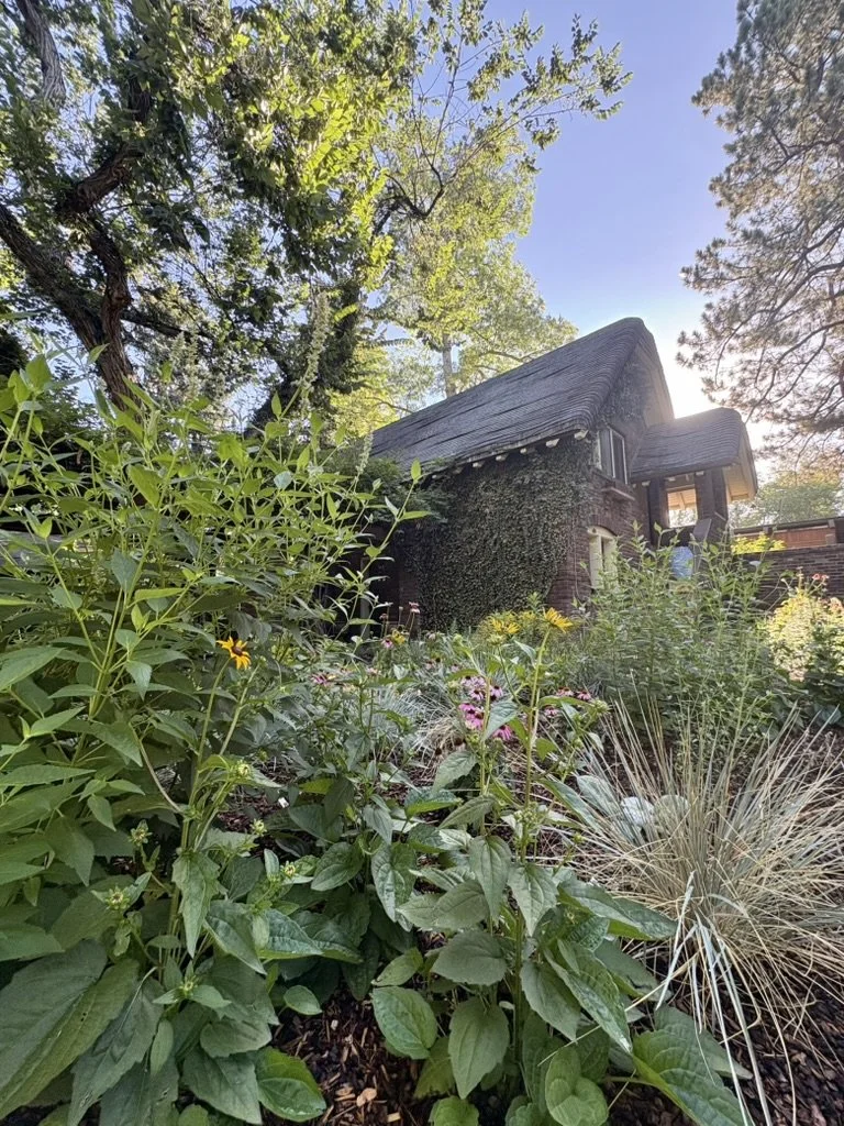 Coloradoscaping