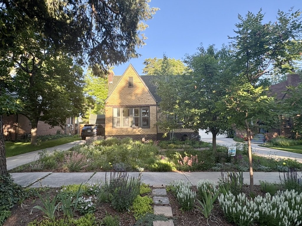 Urban native habitat garden