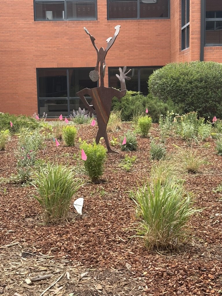 Waterwise pollinator garden