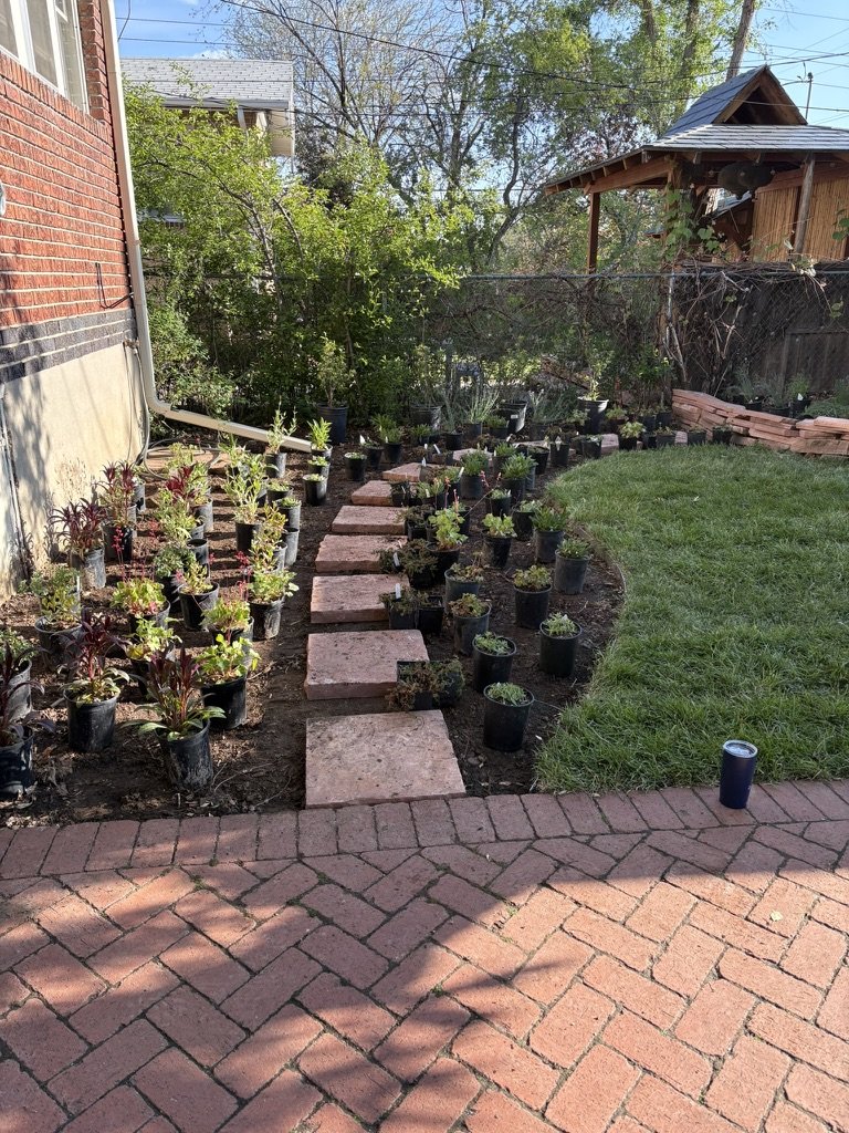 Native pollinator garden design