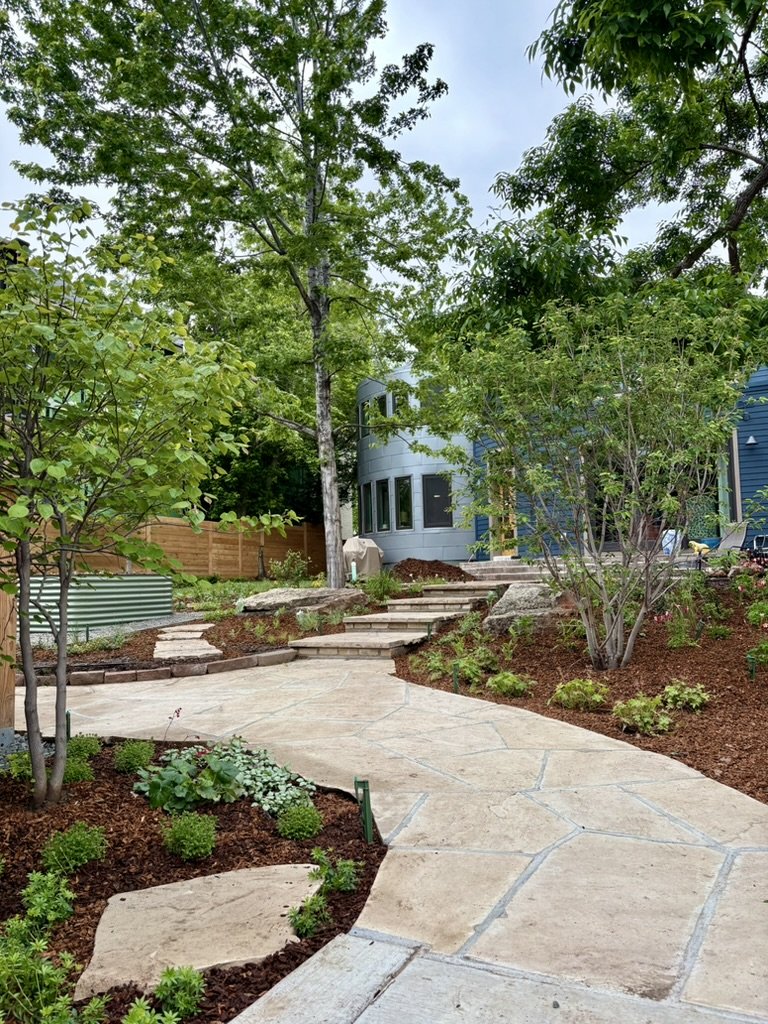 Native habitat garden