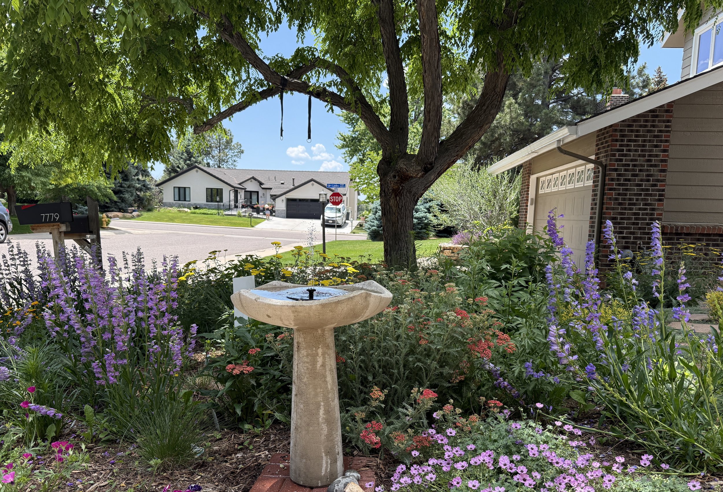 waterwise pollinator garden