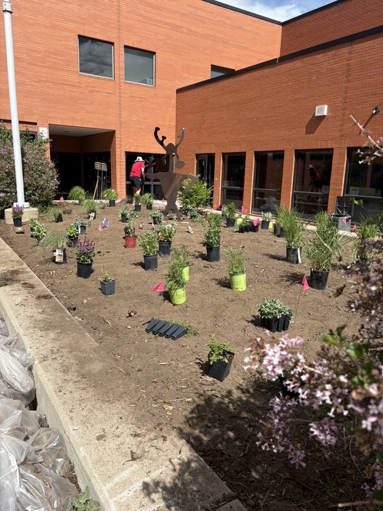 DIY pollinator garden design
