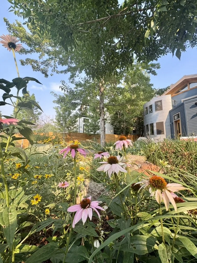 Coloradoscaping