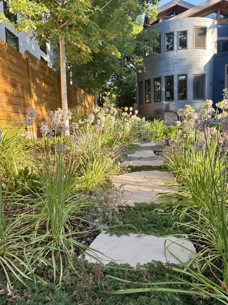 water wise pathway garden