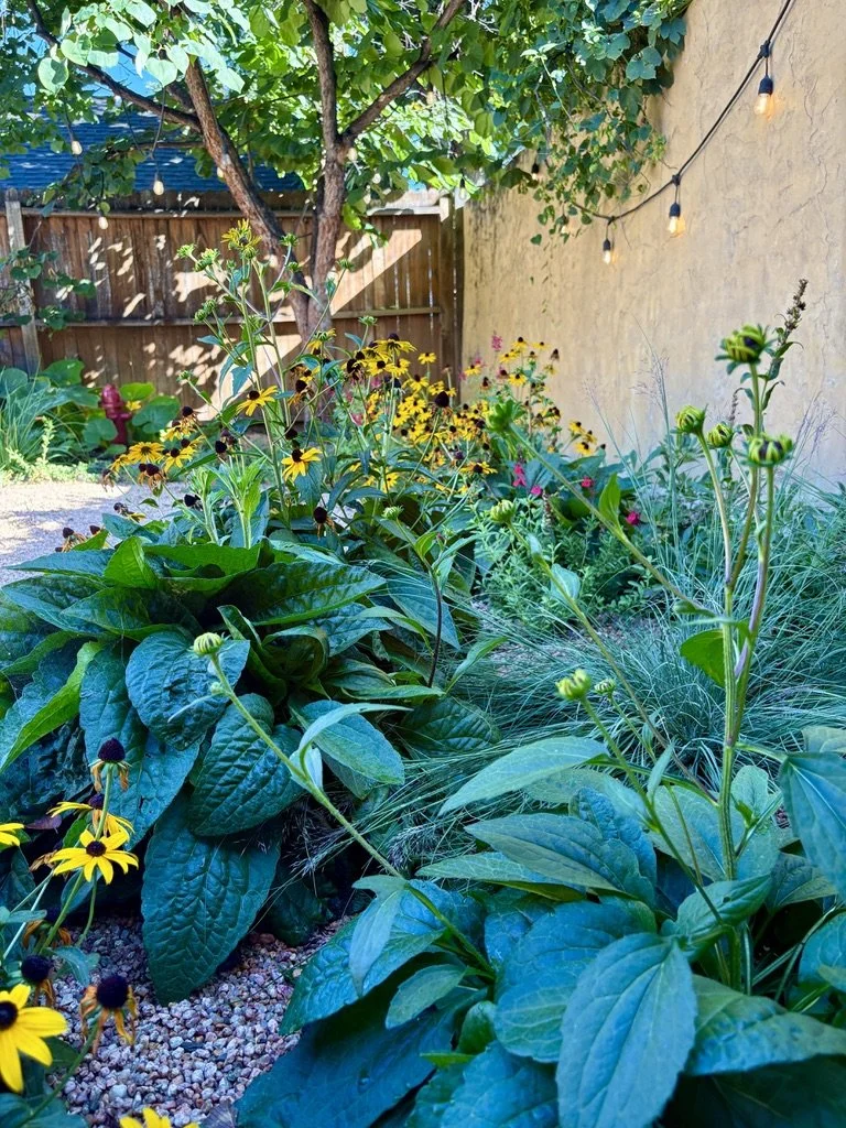 Water wise gardens