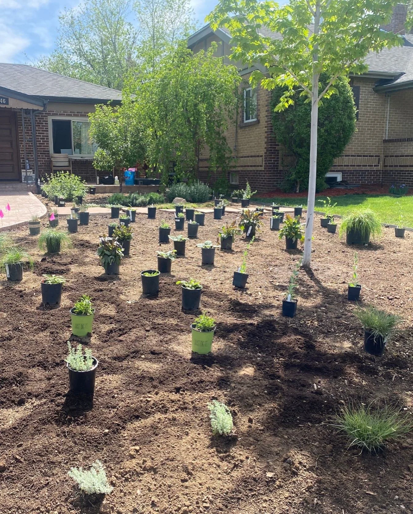 Regenerative Landscapes Honeywood Garden Design