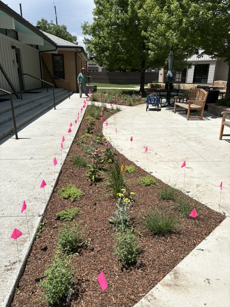 Campus pollinator garden