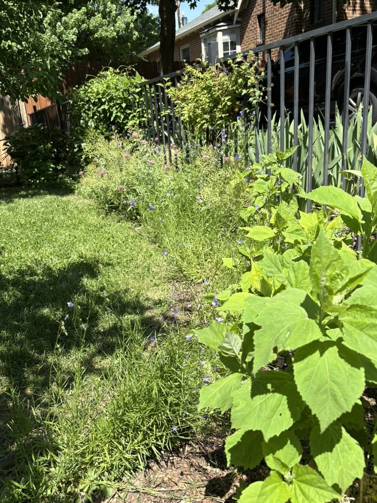 DIY urban garden