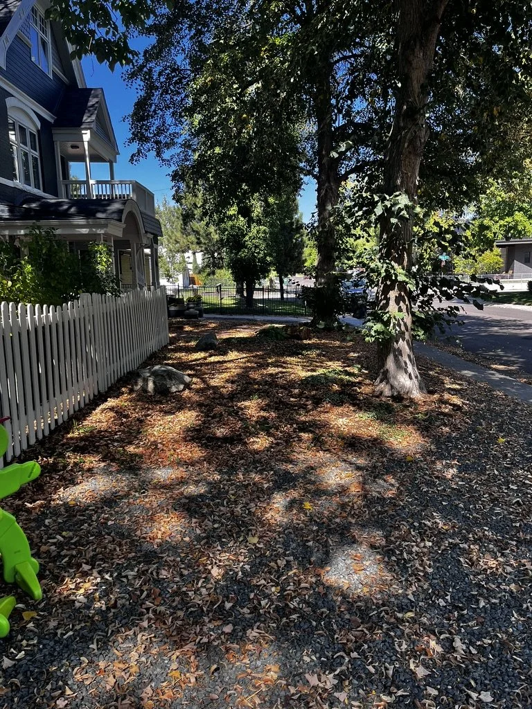 Shade garden makeover