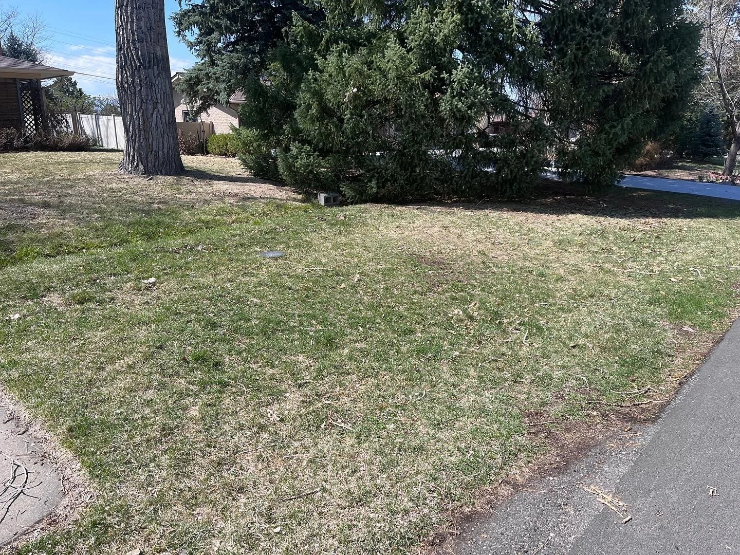 Kill your lawn
