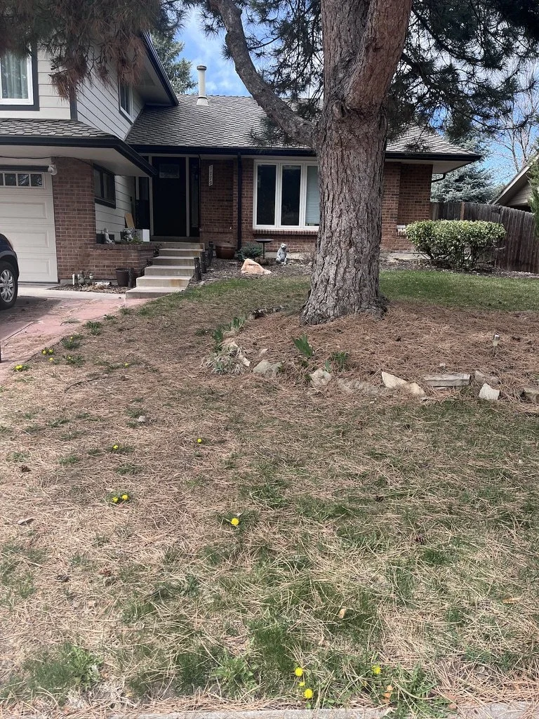 HOA Lawn Replacement