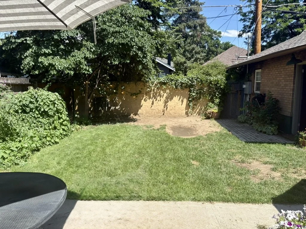 Garden transformation lawn removal