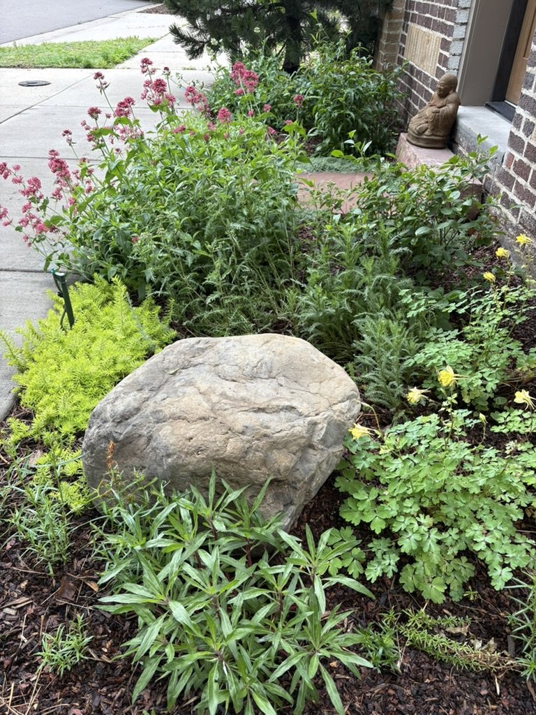 Waterwise pollinator garden