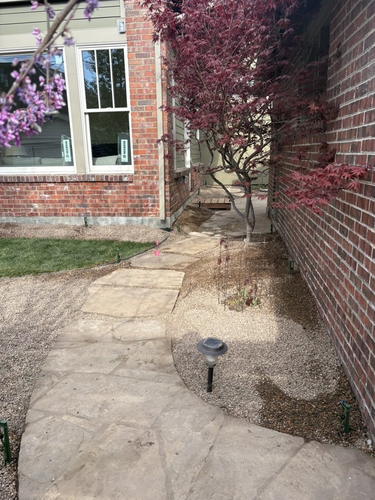 Xeric garden design