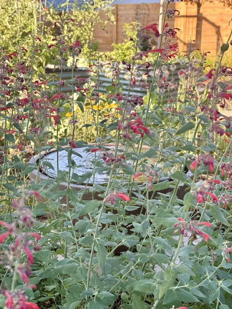 Regenerative urban habitat garden