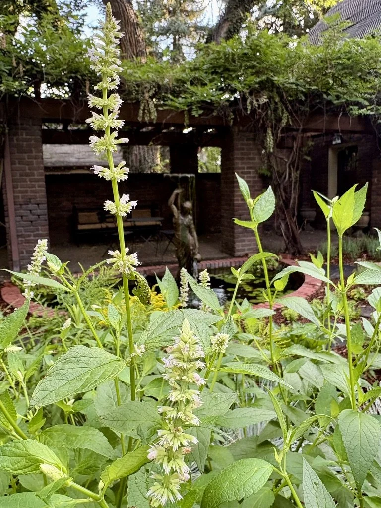 Carriage House Garden