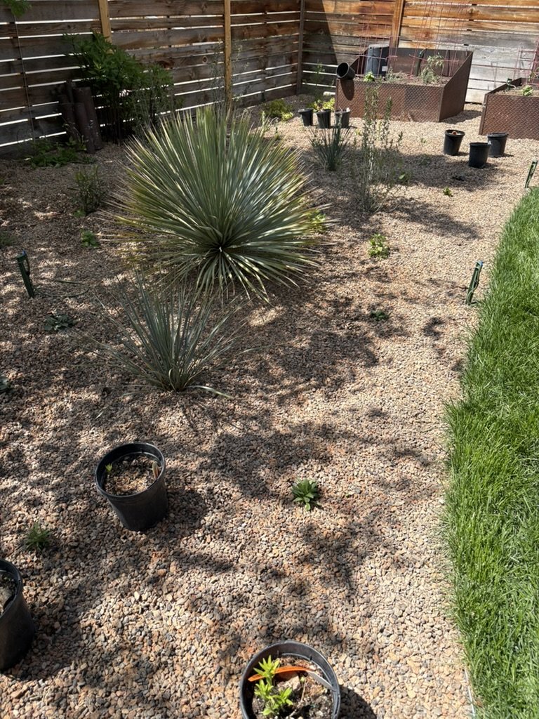Waterwise habitat garden