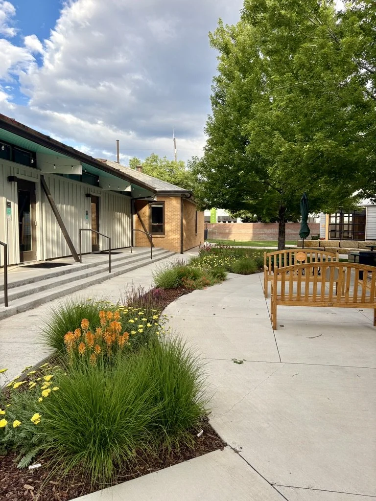 DIY school native pollinator garden