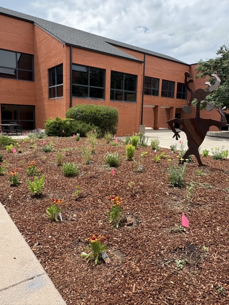 Waterwise pollinator garden