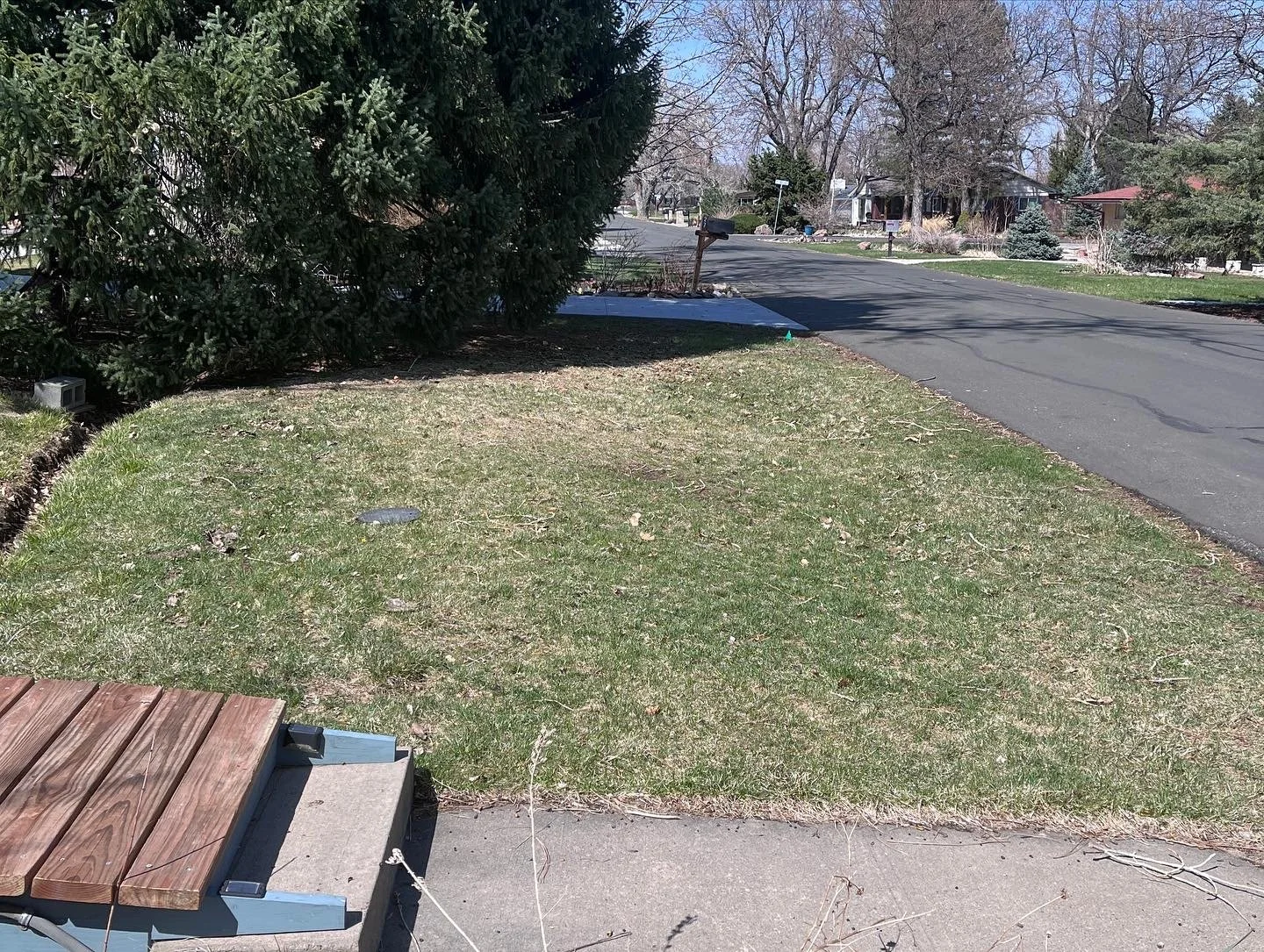 Kill your lawn