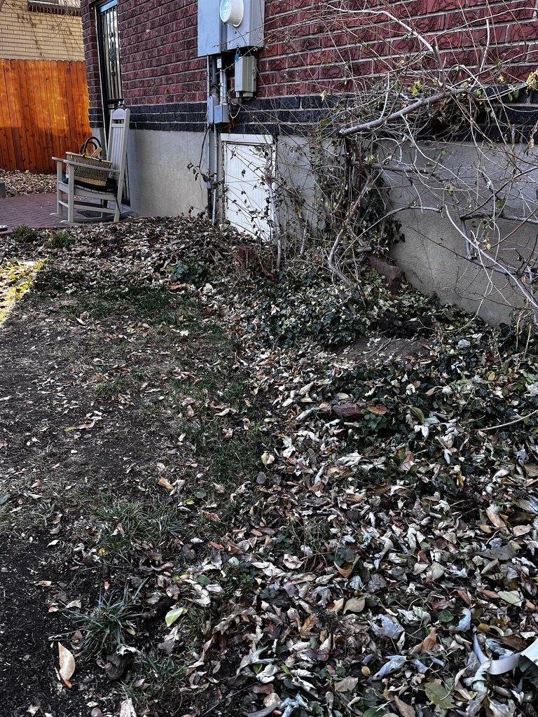 Pollinator garden installation