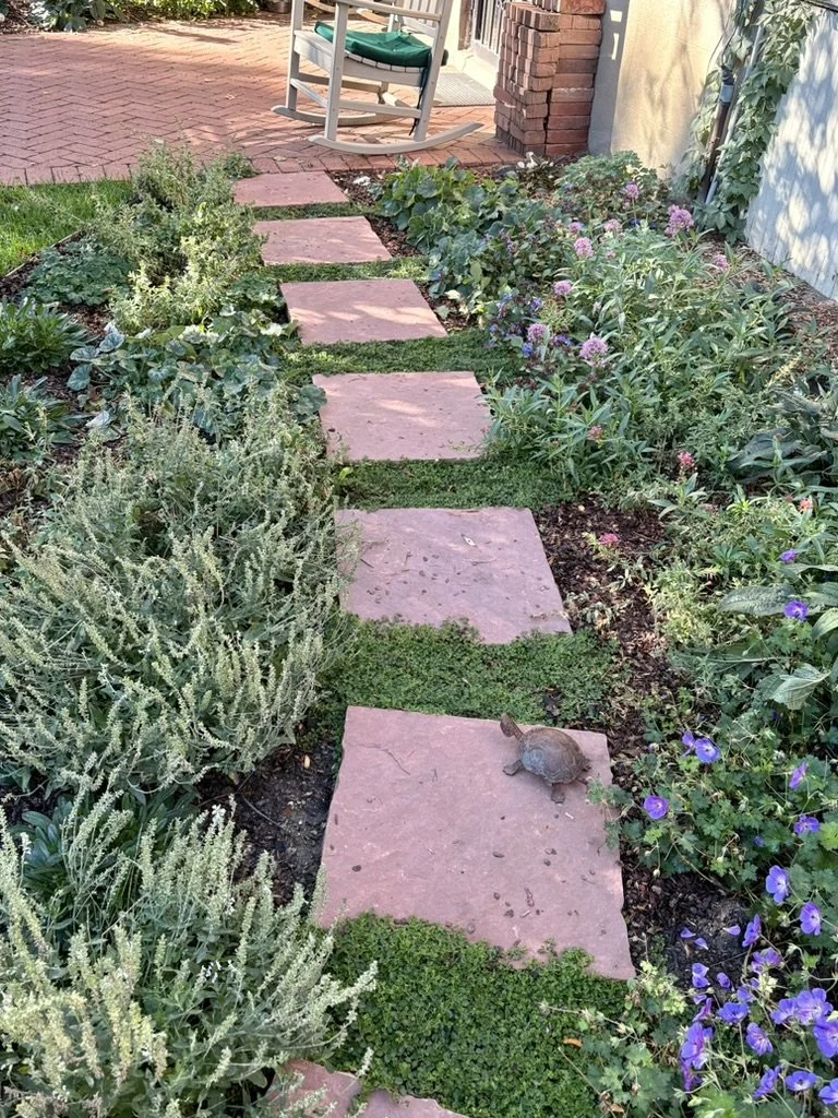 native pollinator garden