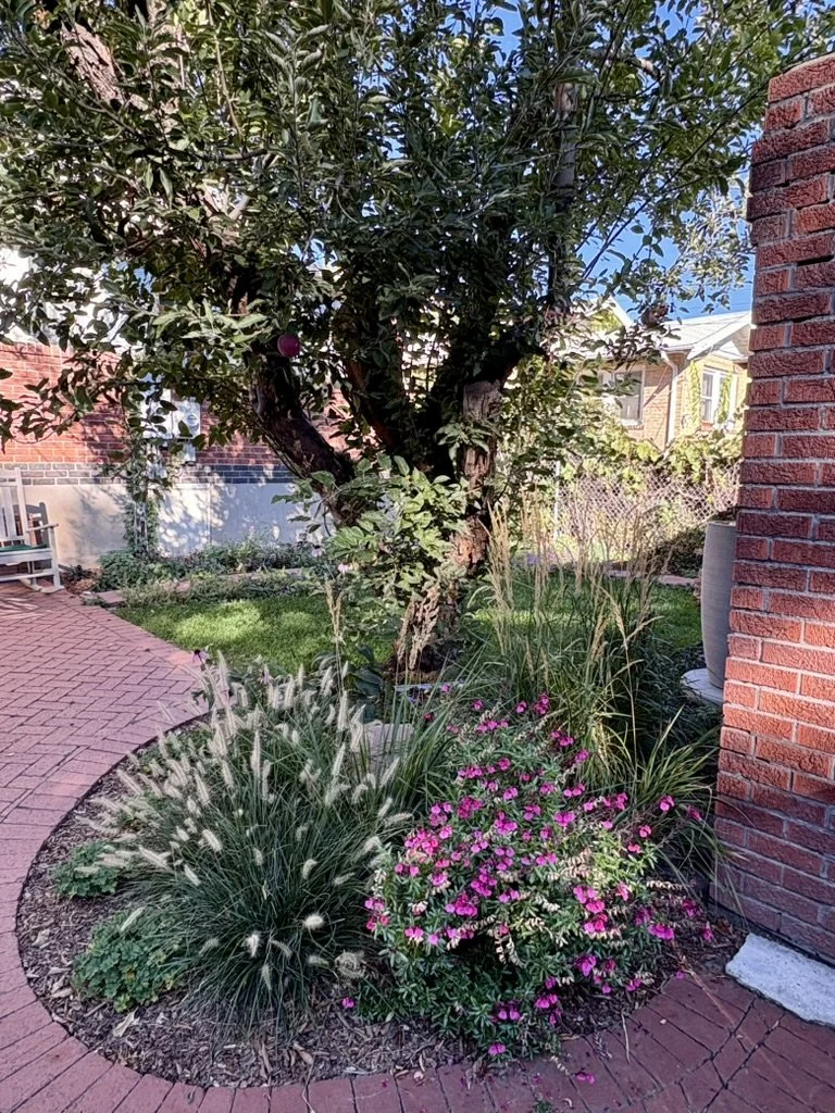 regenerative habitat garden