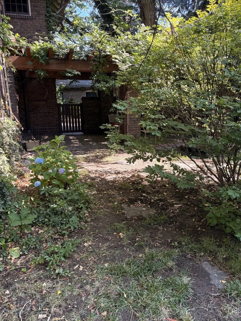lifeless garden
