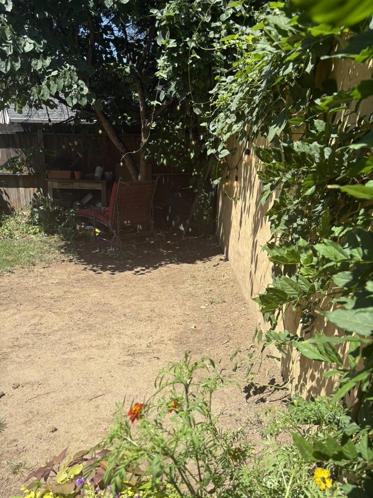Garden transformation