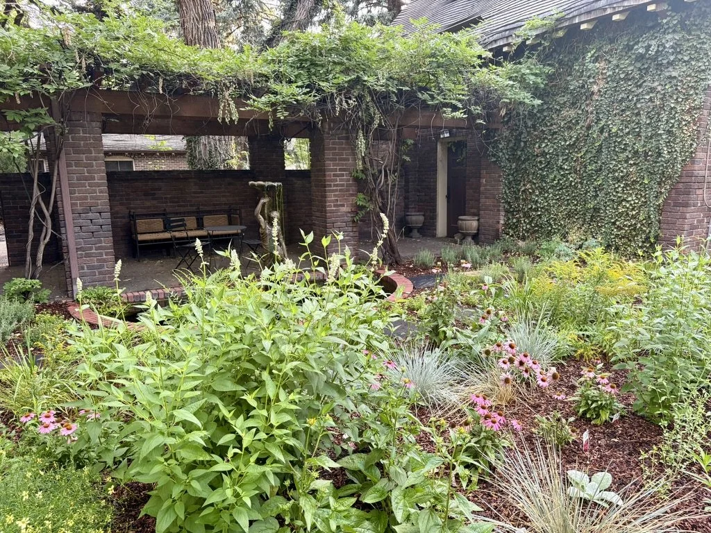 Denver urban habitat garden