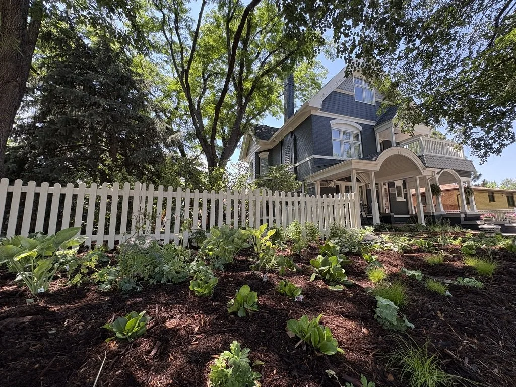 Denver woodland shade garden