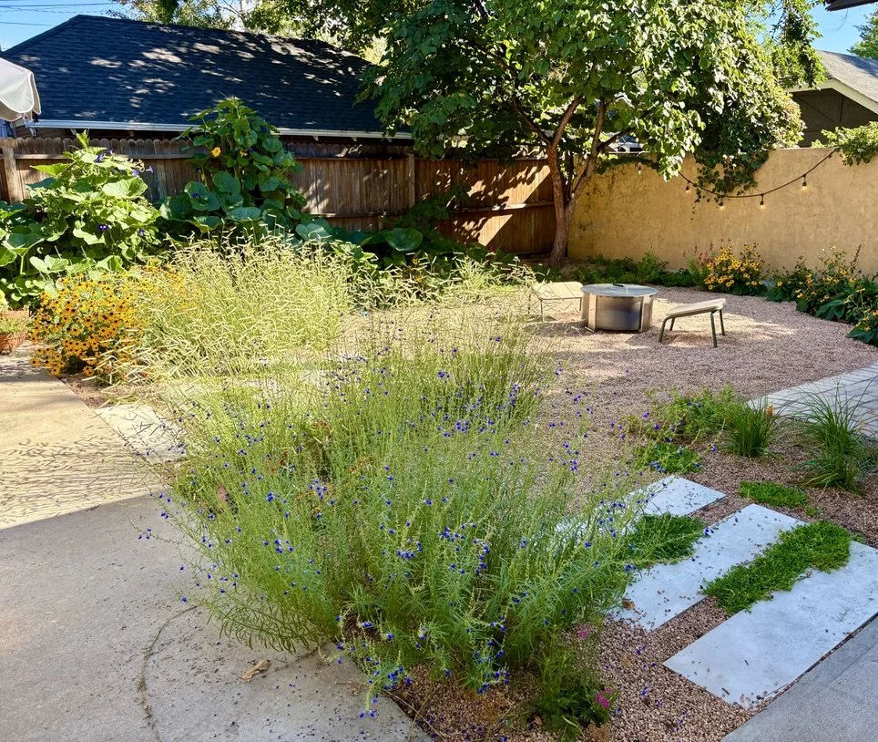 Water wise gardening