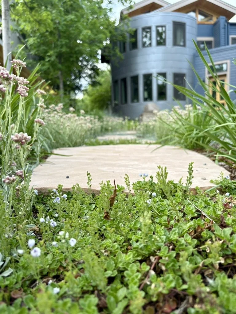 Regenerative garden design