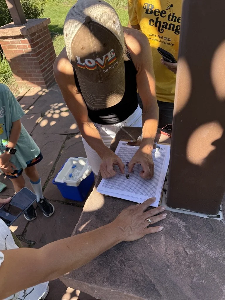 Colorado bumblebee data collection