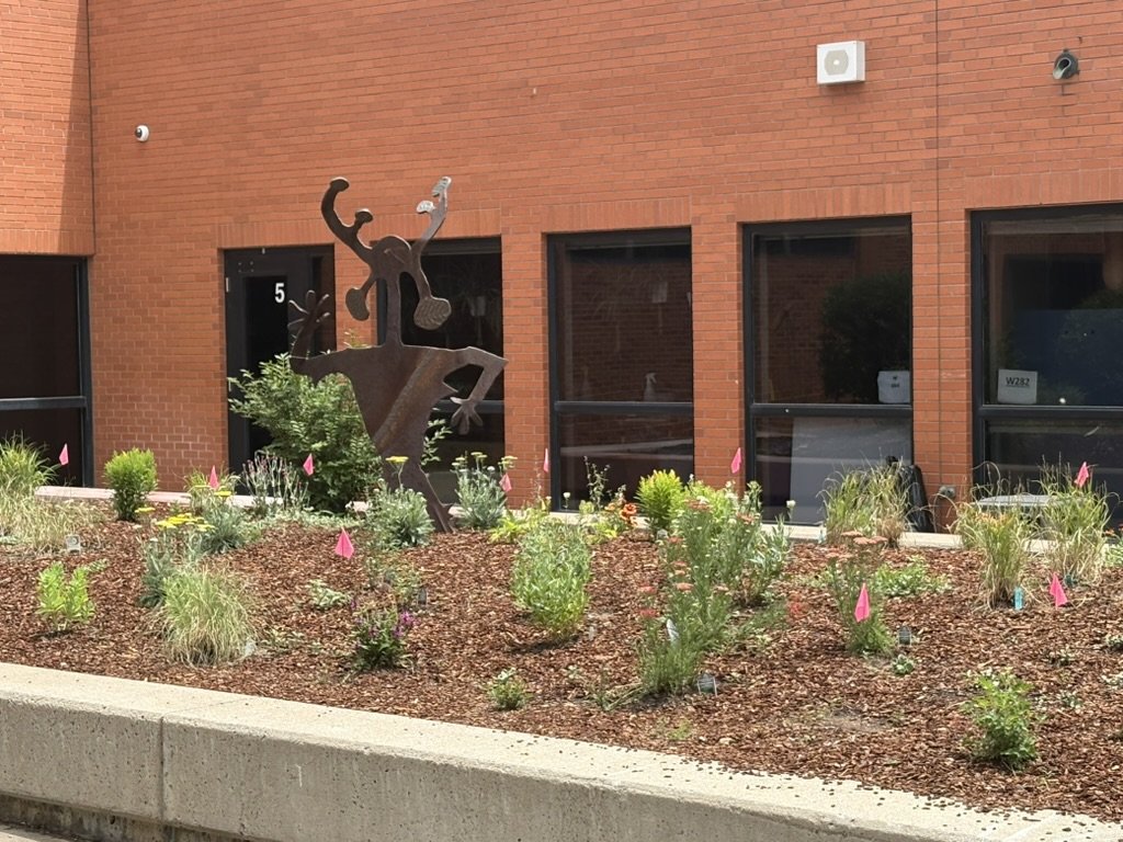 Campus pollinator garden