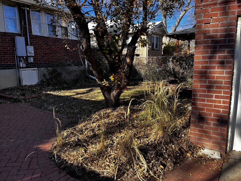 Pollinator garden installation