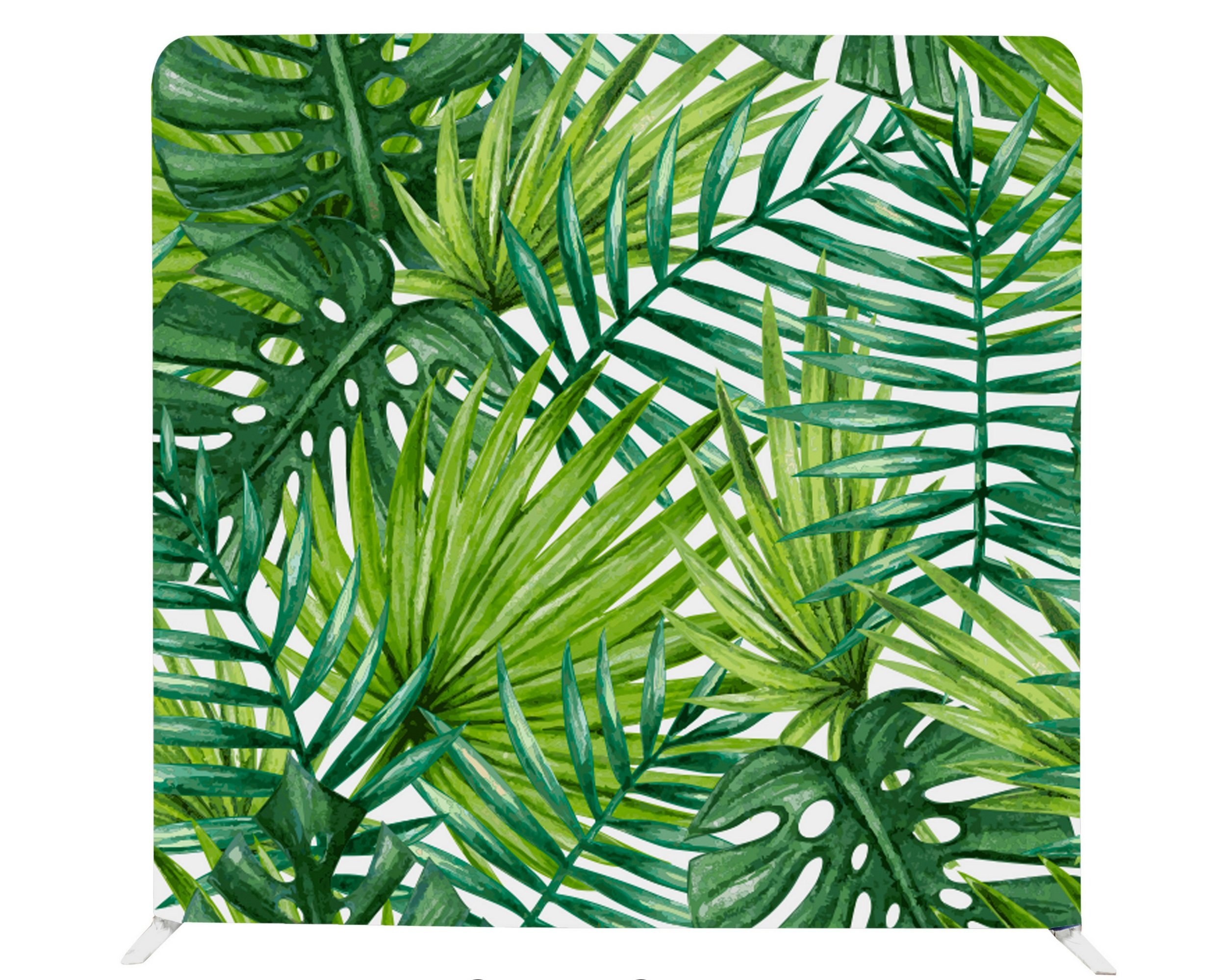 Fern+Forest.jpg